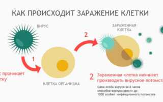 Чем лечить герпес на теле у взрослых и детей?