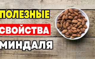 Польза миндаля для мужчин — секреты здоровья и энергии