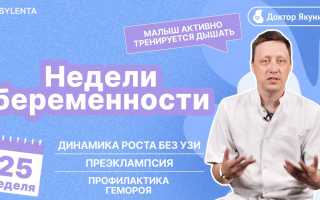 УЗИ на 25 неделе беременности — что нужно знать