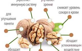 Каждодневный прием грецких орехов — как это влияет на организм женщины