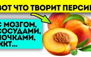 Витамины в персике — польза для здоровья