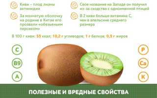 Киви каждый день — польза или вред?