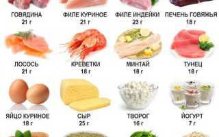 Белковая диета — полный список разрешенных продуктов