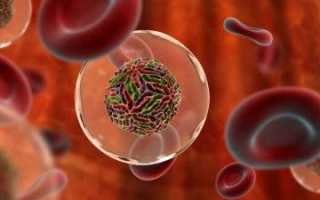 Что такое АЛТ и АСТ в биохимическом анализе крови