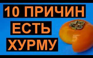 Микроэлементы в хурме — польза для здоровья