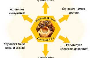 Лечебные свойства маточного молочка — польза для здоровья