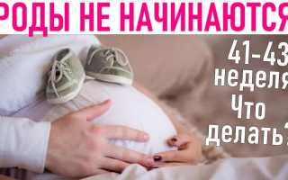 41 Неделя Беременности — Что Делать Без Родовой Деятельности?