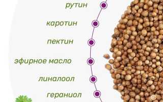 Химический состав кориандра — польза и свойства
