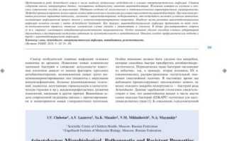 Акинетобактер: что это и почему он важен для нашей экосистемы?