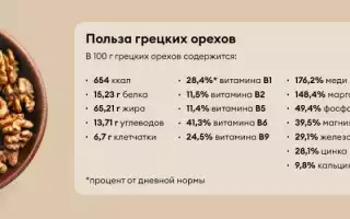 Грецкий орех — польза и риски для здоровья