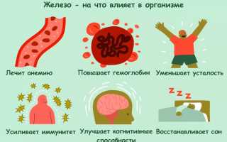 Снижение гемоглобина у мужчин — домашние методы быстрого восстановления нормы