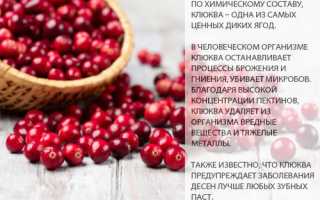 Содержание калия в клюкве — полезные свойства и количество