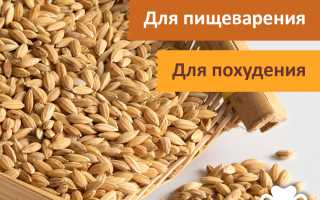 Польза настойки овса для здоровья